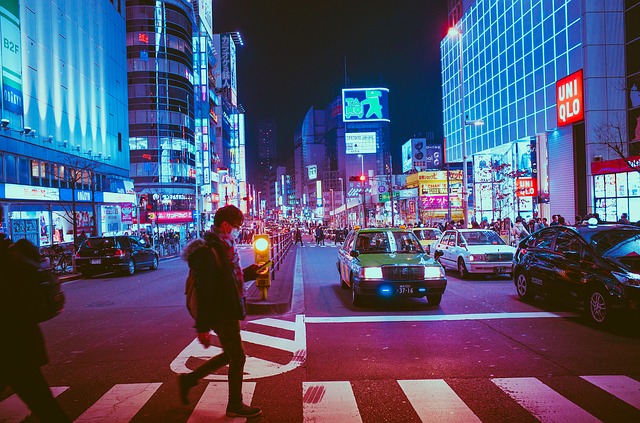 Japonská ulica.jpg