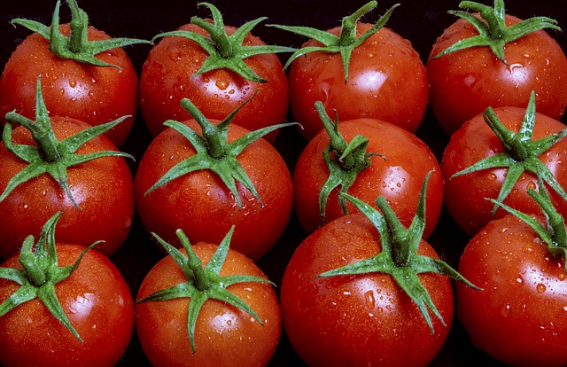Orosené paradajky.jpg